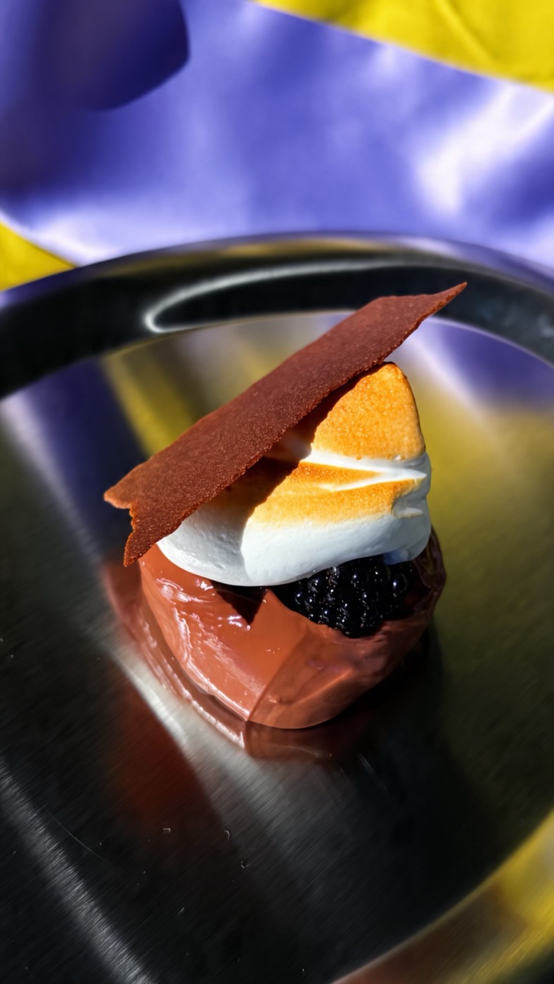 A chocolate dessert with a toasted topping, photographed by Mazin